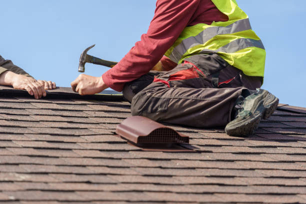 Best Roof Gutter Cleaning  in Rice Lake, WI