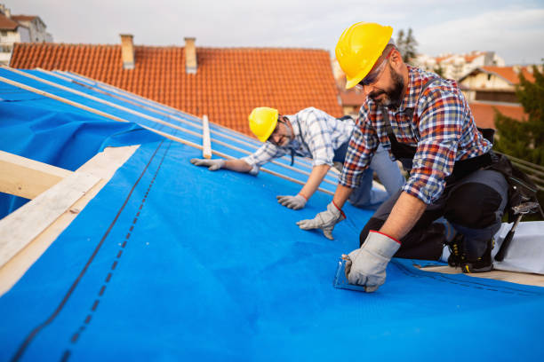 Best Local Roofing Companies  in Rice Lake, WI