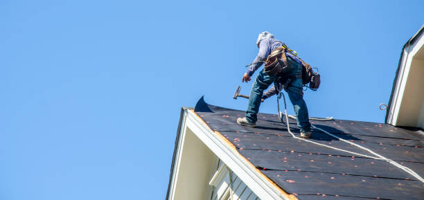 Best Storm Damage Roof Repair  in Rice Lake, WI